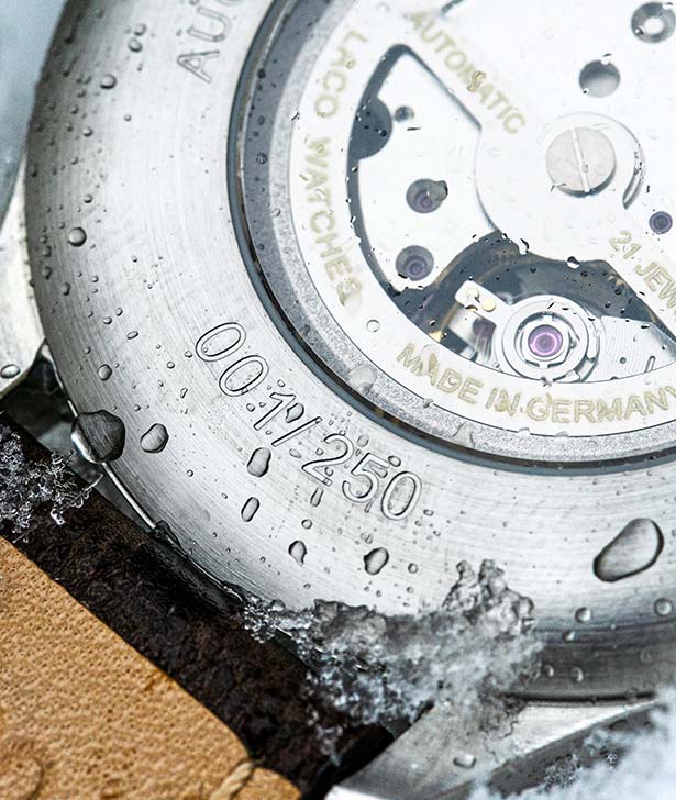 Laco-polar-limited-edition