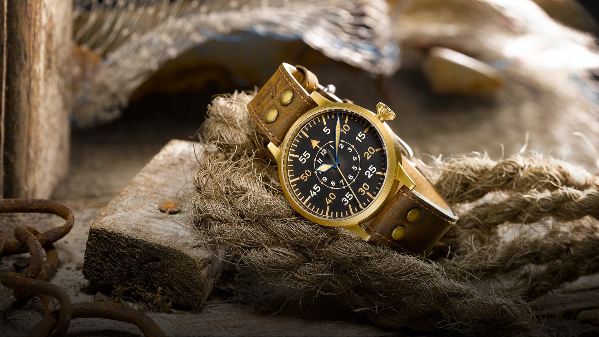 Friedrichshafen Bronze